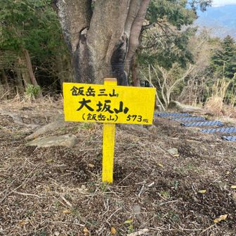 テーブルとベンチがあってちょっと昼食　風が冷たくて動いている方が良かったのですぐ出発！
電波塔の南側の草むら柵の横を通り広い道へ　
周りの杉の木にピンクテープが付いているので間違えやすいです