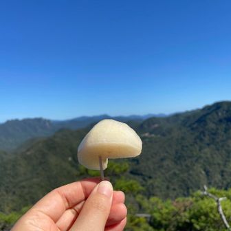 少し先にある岩場で三倉岳を眺めながら梨を食べてちょっと休憩