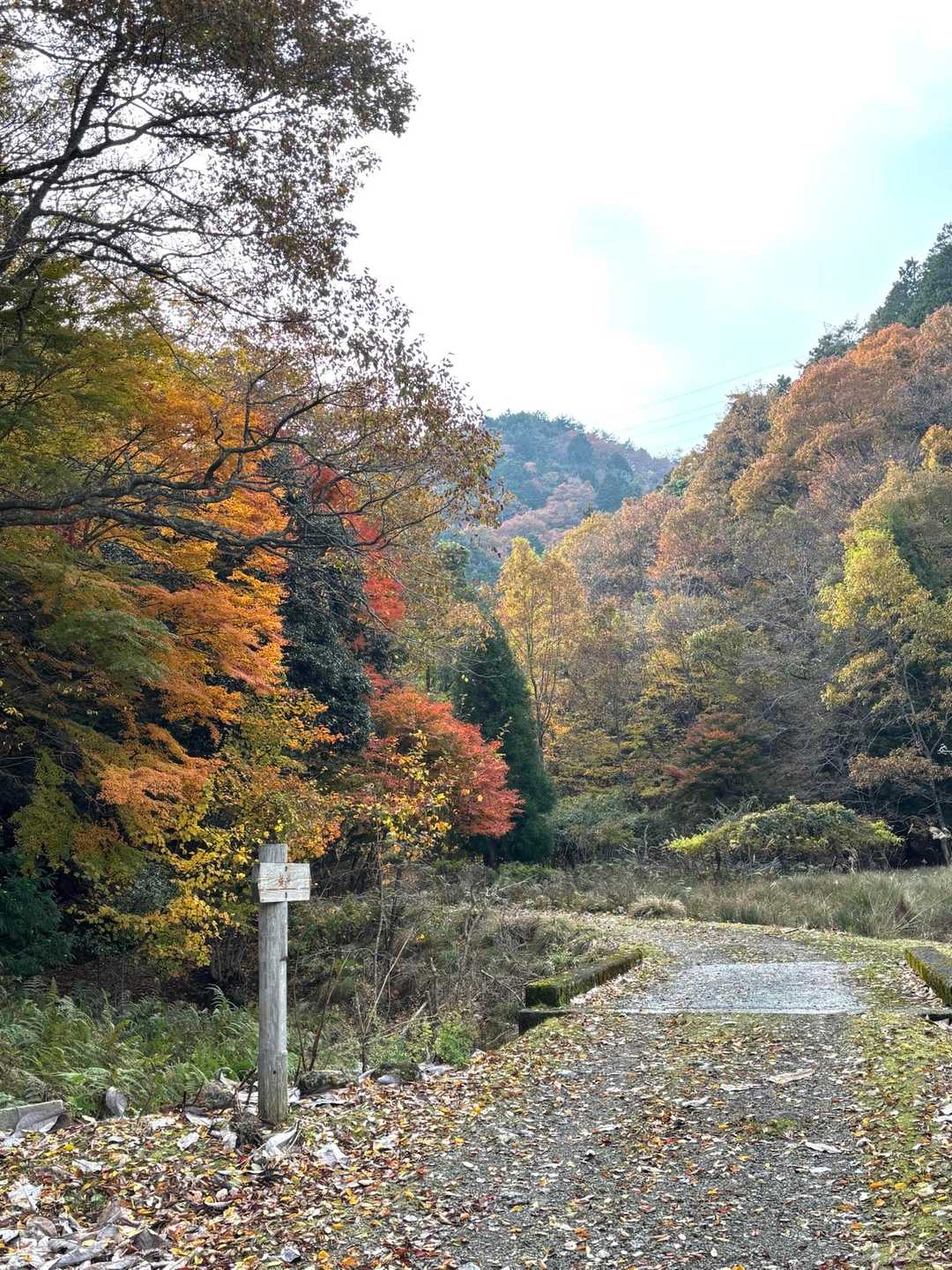 釈迦岳-ポンポン山 周回コースの写真