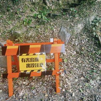 熊らしきものがいたということらしいです

雲見ふれあいパークトイレ裏から入ります