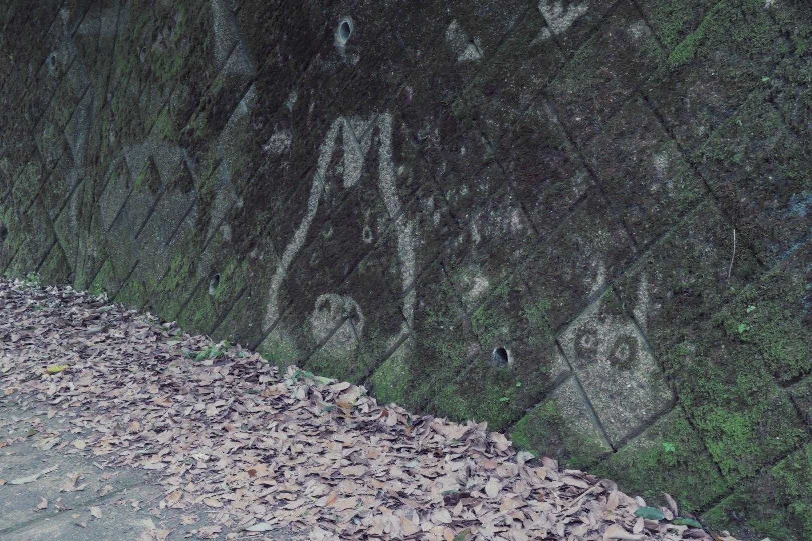 トトロ〜