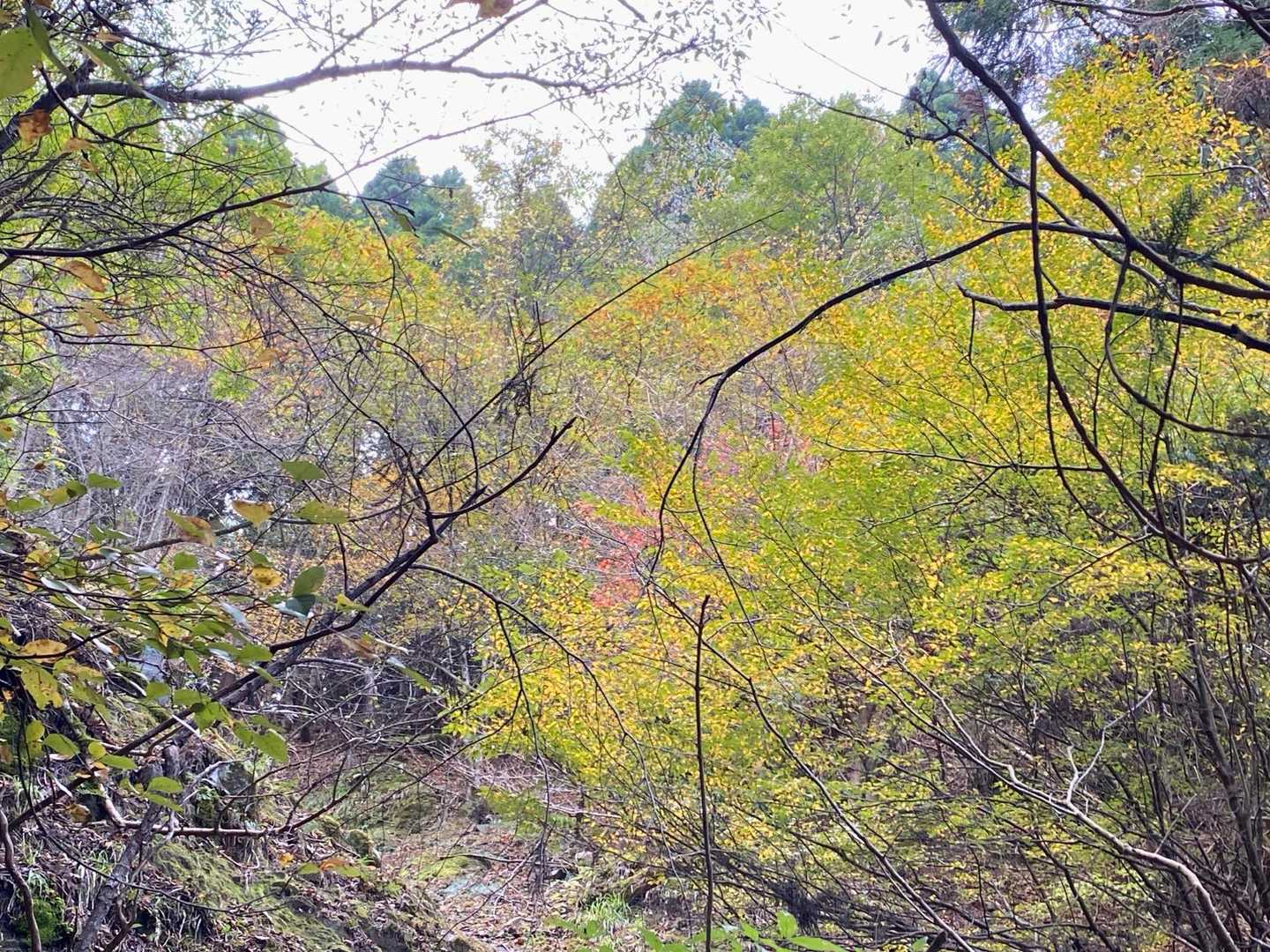 お初の山らしいので
今回は南岳までの定番コースを歩く事にしました。

Asukaさん、北海道から長崎に来てまだ5年目だったとか、もう長いのだと勝手に思い込んでましたよ。