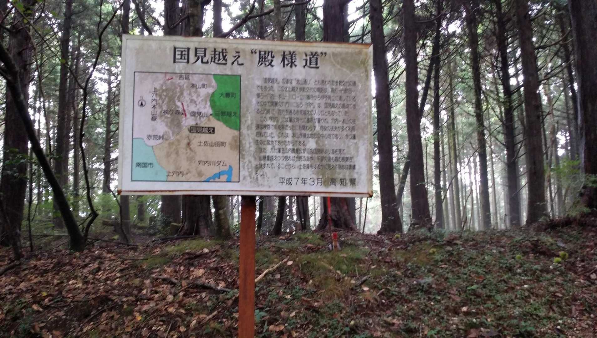 分岐まで来ました。
まっすぐ行けば北山道、杖ヶ森
右へ行くと国見山登山口です。
