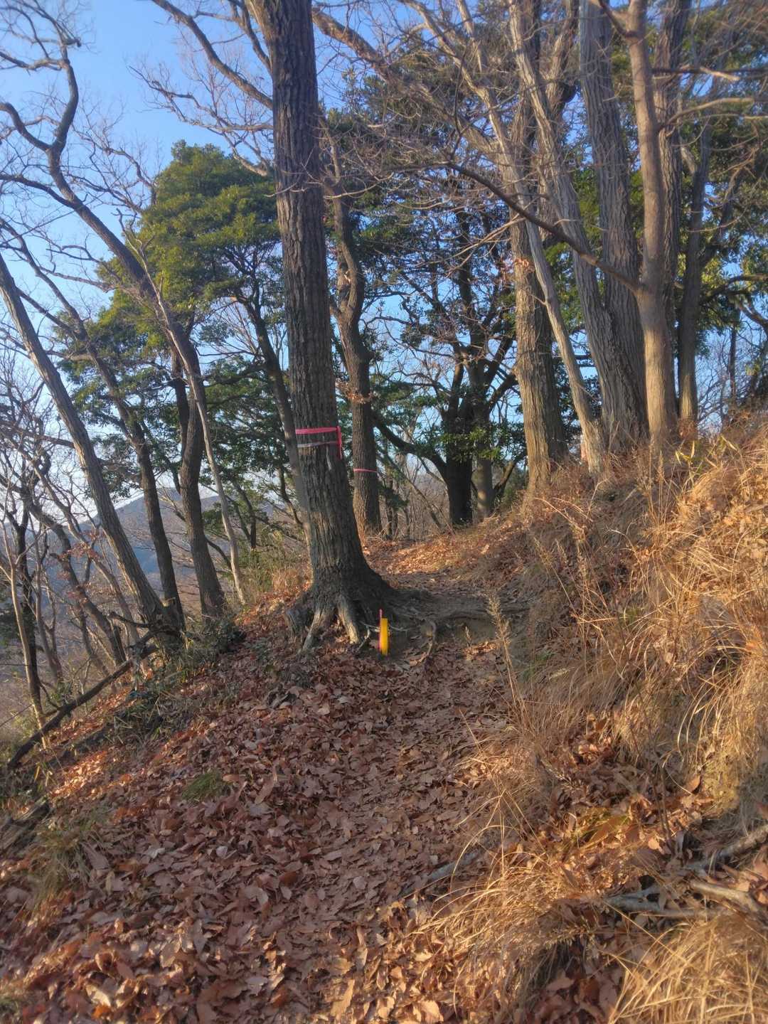 白山・桜山 | 自然と歴史が美しく調和する特等席。厚木の名山ハイキングの写真