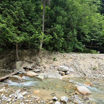 始めに左岸へ
私は間違えましたので