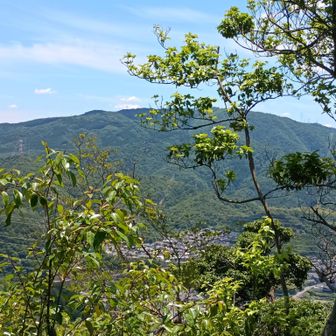 あっちは音羽山