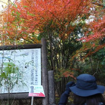 津波戸山登山口で
紅葉がお出迎え
