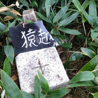 点名 猿越
三等三角点1436m