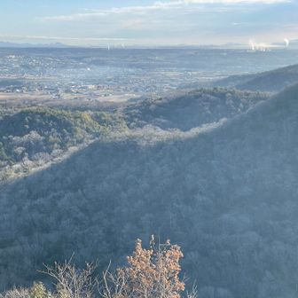 少しだけ霧氷？