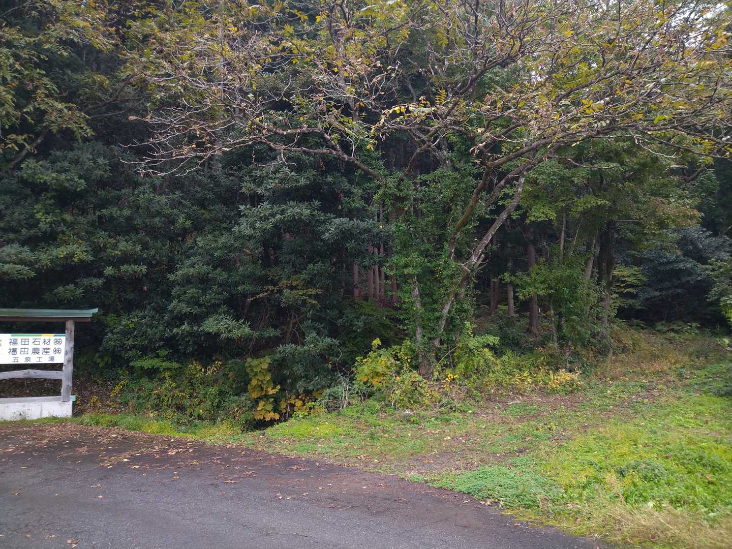 無事下山🙌
🌧️ぱらつき始める🙄
急いで🅿️へ
ギリギリセーフ😖
お疲れさまでした✨
