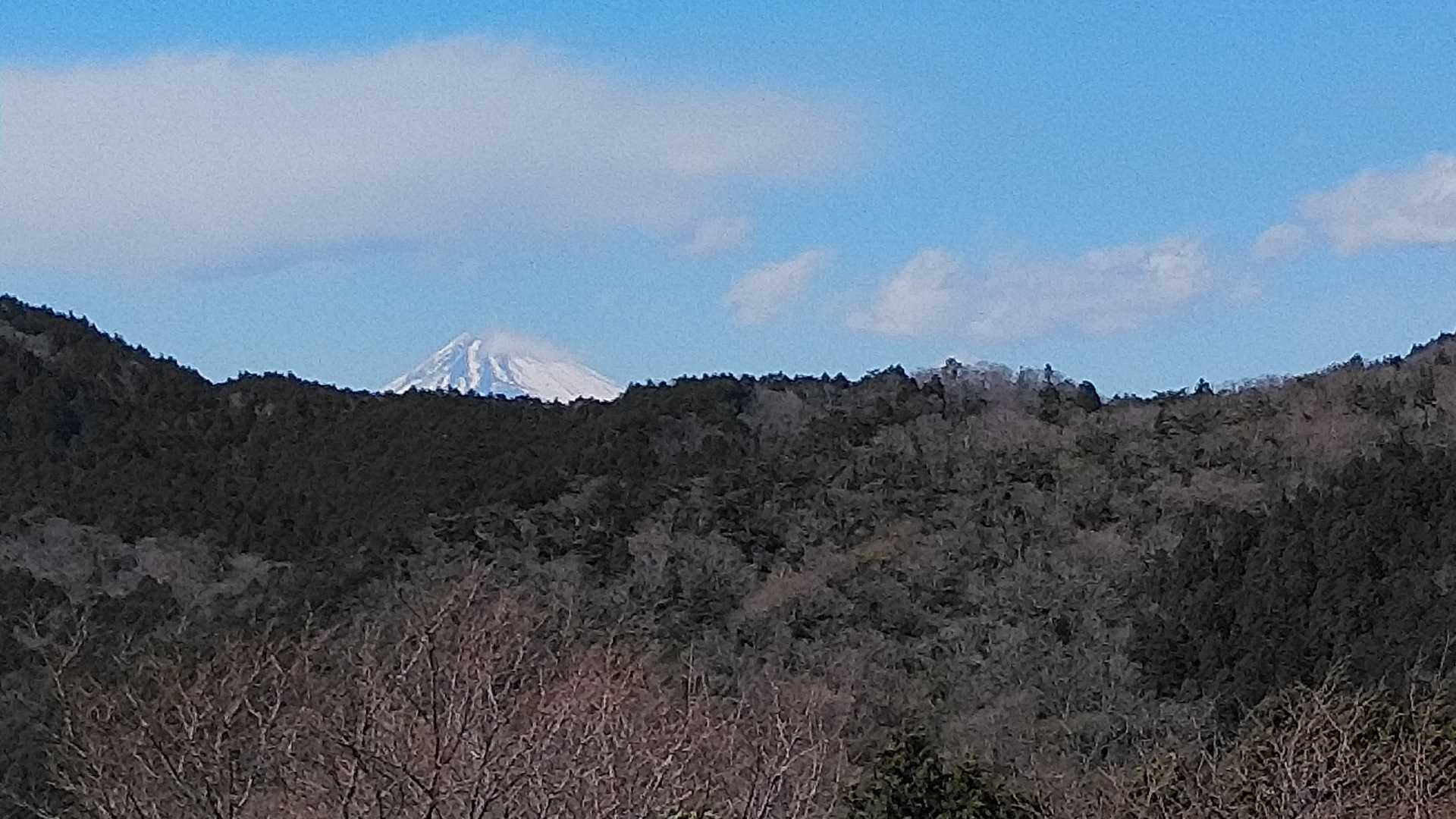 ここからも富士山の頭が
