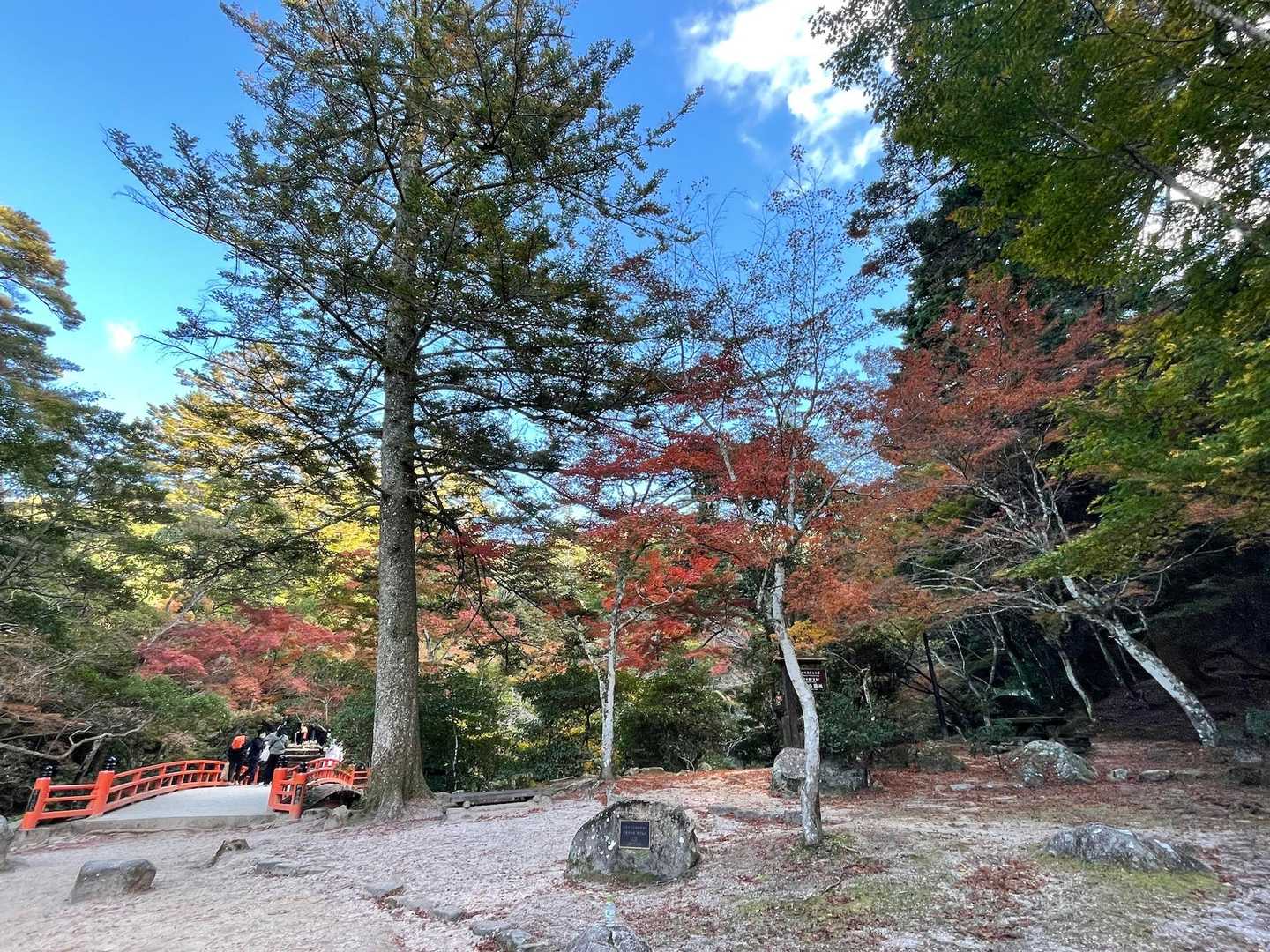 弥山登山道入口-紅葉谷橋-弥山-駒ヶ林-弥山登山道入口　- 周回コースの写真