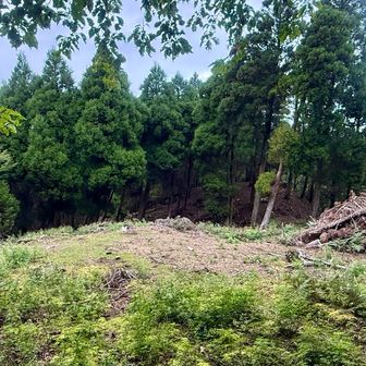 はて？登山口はどこだ？？