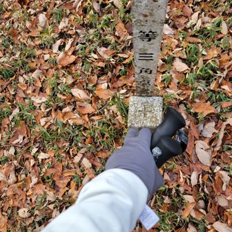 城山の三角点▲