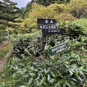 この分岐で右側（避難小屋）に行くべきところを、ぼんやりしていて白石小屋方面に降りてしまった💦
お腹空くとだめですね。登る前にお弁当食べておけば良かった。