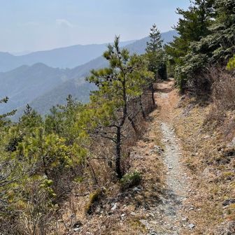 こういう抜けの道、歩いてて本当に気持ちが良い