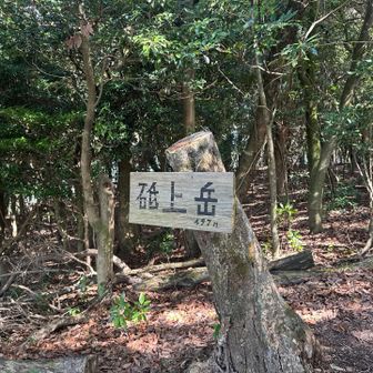 1ヶ月ぶり🙌