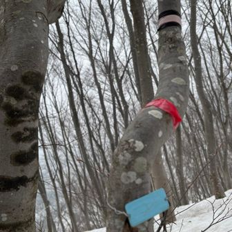 ニ王山到着
マジック🪄今日も忘れた🥲
ザックに常に入れとかんならん！
