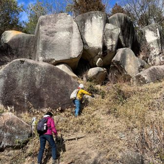 この隣の薬師堂も必見