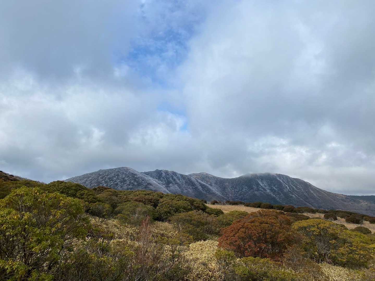 冬の泉水山もいい。西から白いくじゅうを見渡す楽しみもあるんだなー💠