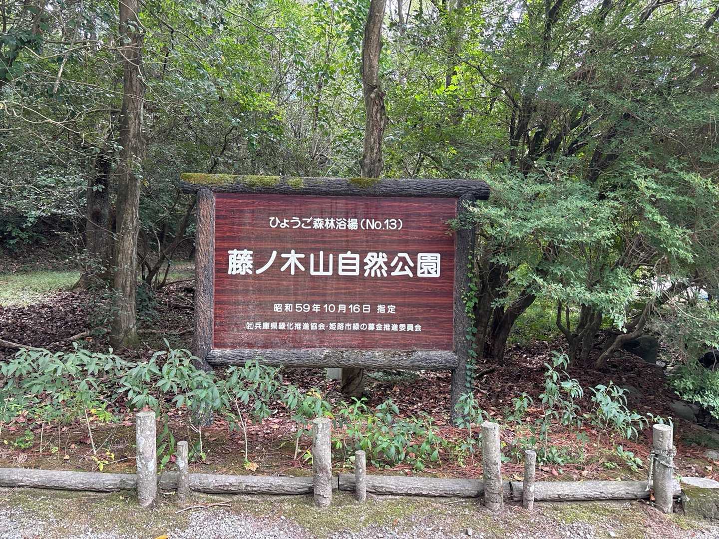 下山🧑‍🦯‍➡️とてもいい感じのコースでした🙏
お世話になりました🙇🙇🙇