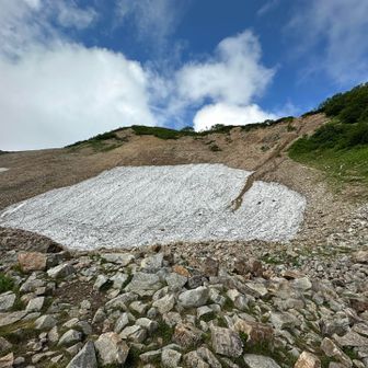 ダケカンバの森を抜けて雪渓
今年は雪少ない