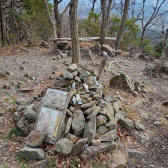 三角点どこやーーーアレクサ三角点教えて