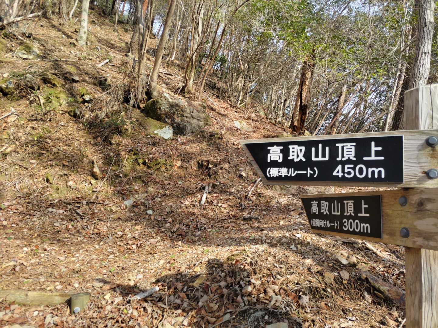 頂上付近で再び健脚コースと通常コースの分岐。ここの健脚コースはかなりの急坂だった・・・