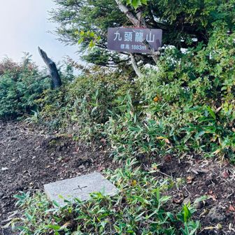 九頭龍山登頂👍