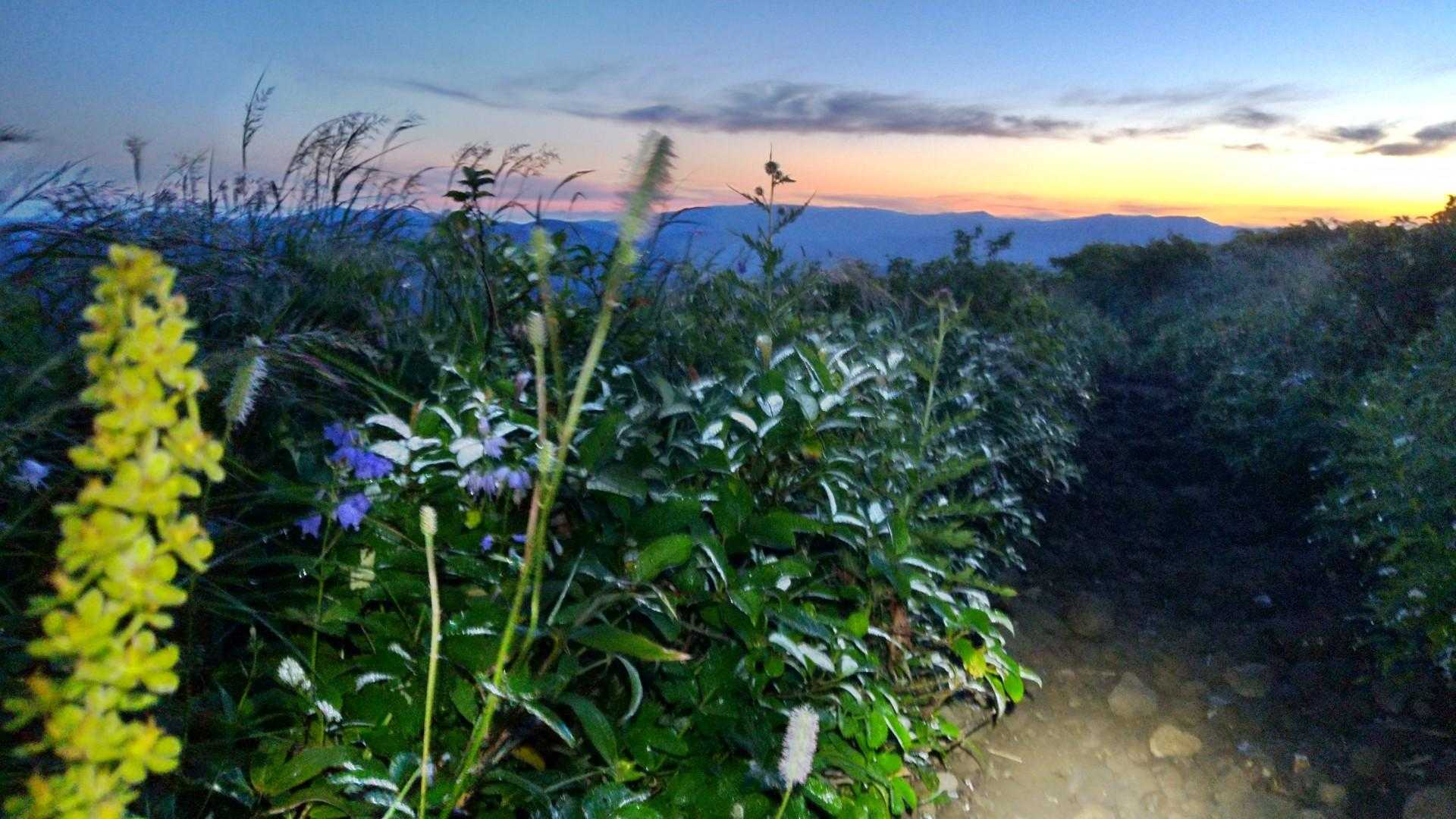 秋田駒ケ岳八合目登山口 往復コースの写真