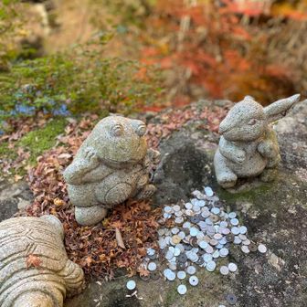 長居しちゃった