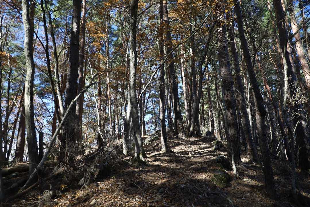 道なり登り返し
