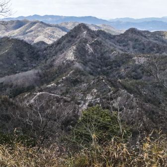 これから進む道