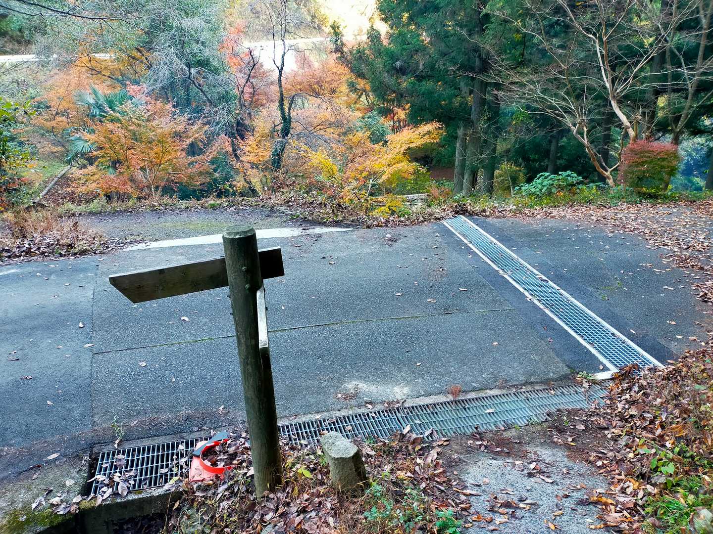 無事下山しました。今日も楽しかった！  オツカレ山。