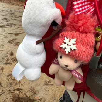 毛糸の帽子🧶のくまさん かわいい💕