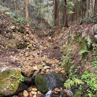 1周目の水汲み場は激混みでした。なかなか水の補給できず、順番待ち😅