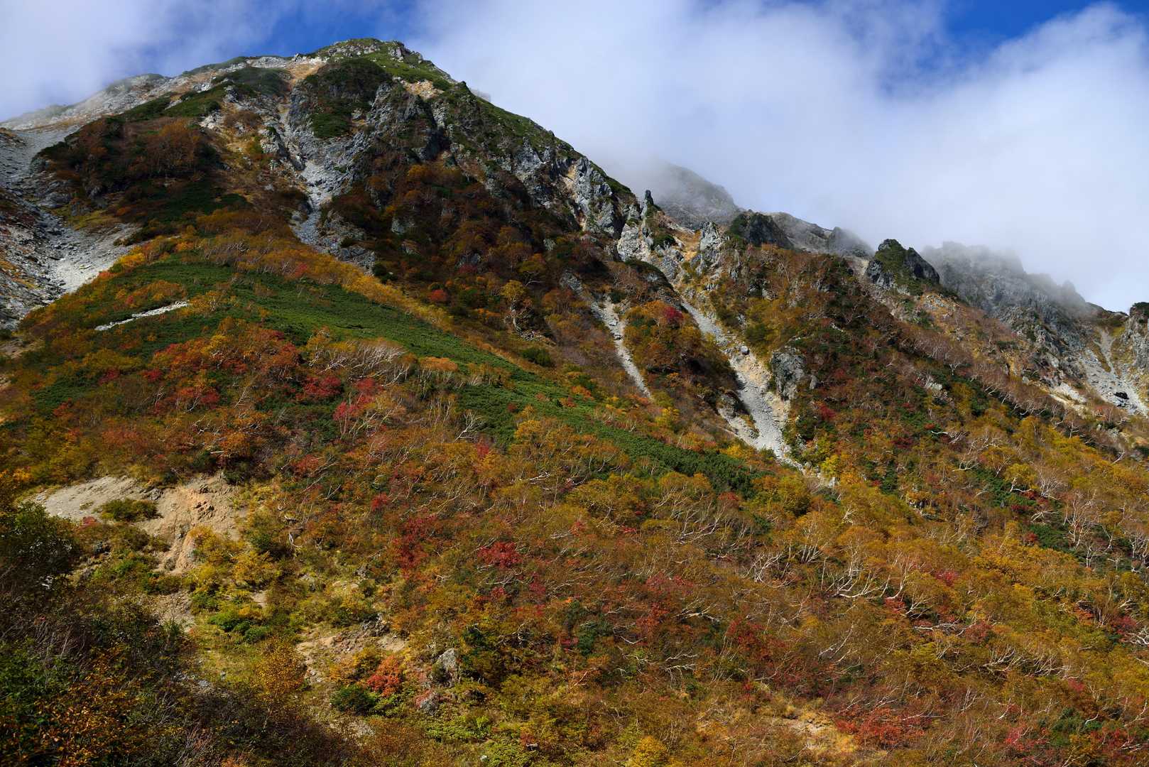 針ノ木岳 往復コース | 日本三大雪渓を踏み、黒部湖越しに剱岳と向かい合う頂の写真
