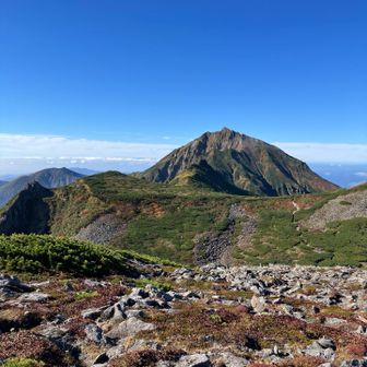 ようやく山頂見えた！