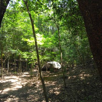 さくら広場に到着🥾