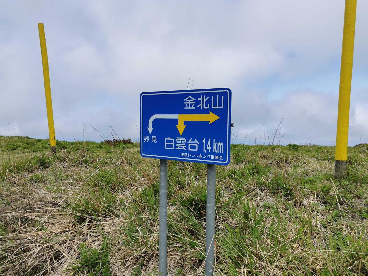 帰りは時短で自衛隊道路を下ります