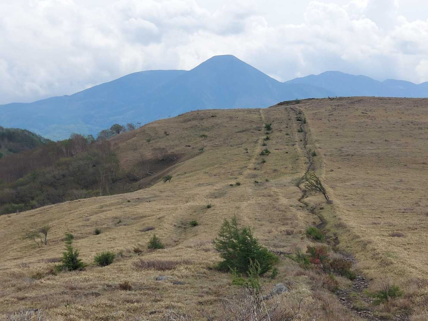 振り向けは蓼科山