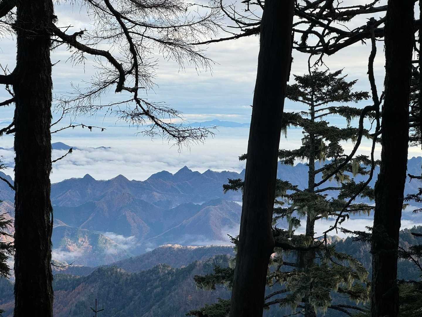 ギザギザとした荒々しい峰が見えて、秩父も低山ですがアグレッシブな山が多い地域ですね。