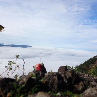 眼下に広がる雲海。大江山方面まで真っ白です