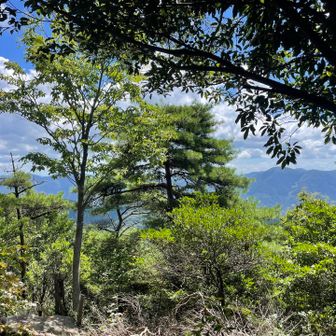 大きな木が視界を遮るけど貴重な眺望のひとつ。いい感じの石に座ってボーっとしてた