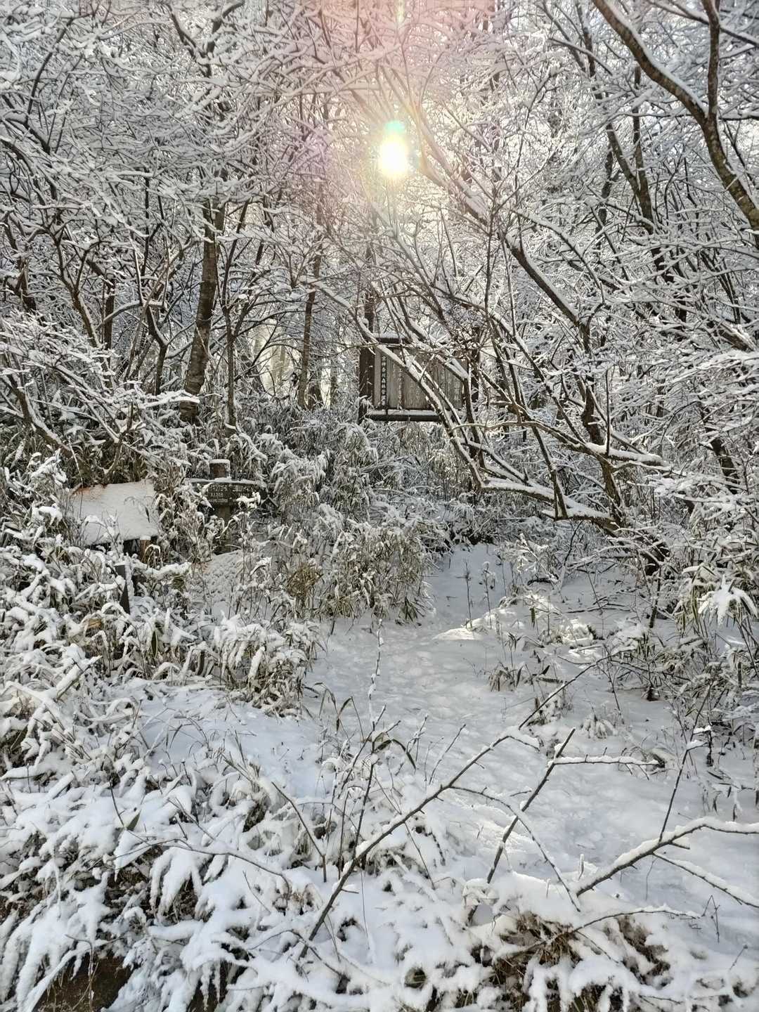 踏み跡あるから大丈夫！