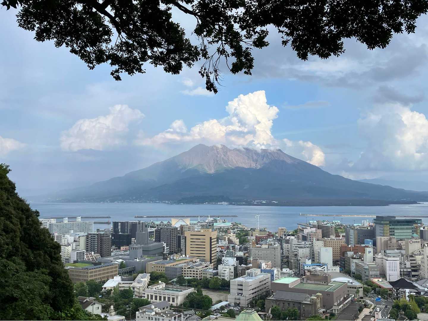 桜島が見えました♪