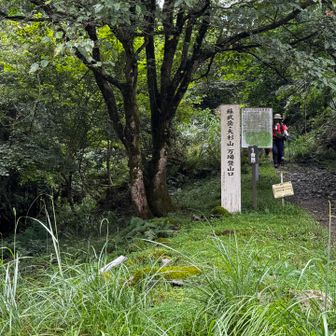 お疲れ様