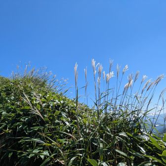 秋晴れ☀