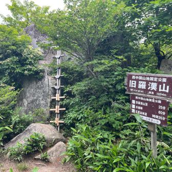 オオヤマレンゲ求めて更に奥にある旧羅漢山
どこに有るのかな？
あそこ登ったら景色いいかな