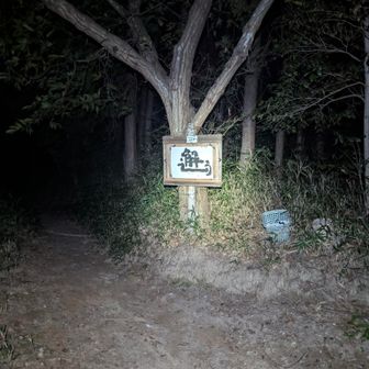 「邂」は、思いがけなく出会うことや、めぐりあうことを意味する漢字です。みたいです。